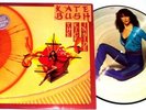 Kate Bush The Kick Inside First Edition Picture Disc