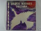 Brimstone * Paper Winged Dreams* Vinyl LP Psych Mint-