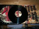 KATE BUSH THE RED SHOES VINYL ALBUM