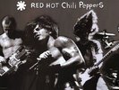 RED HOT CHILI PEPPERS EN CONCERT LE 08/06 A BERCY
