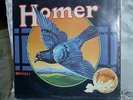 Homer- Grown in U.S.A.   garage psych