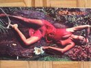 Roxy Music Bryan Ferry STRANDED UK pink Island LP