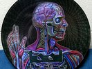 TOOL 'Lateralus' RARE Promo Picture Disc 12