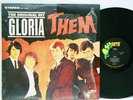RARE PSYCH ROCK LP- THEM 