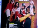 Beginnings of SLADE Ambrose Slade