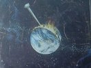 Pins In It -  Human Instinct