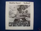 Weather Report 