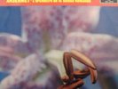 SXL 2042 STRAVINSKY-THE RITE OF SPRING, ANSERMET( ED1)