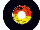 80s DIGITAL ROOTS -FIGHT THE PROFESSOR -PROF GRIZZLY 7