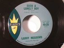 LARRY MEADOWS Rare Teen 45 on Regency Rene Hall Mint-