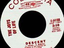 Garage/Psych -The Joys Of Life - Descent -'67 WLP,Fuzz
