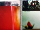 Nine Inch Nails THE FRAGILE 12