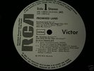 elvis presley -promised land in weiss label als promo