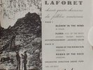 MARIE LAFORET SINGS BOB DYLAN 