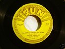 Sun - 217 Elvis Presley - Baby Let's Play House
