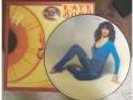 Kate Bush The Kick Inside Limited Edition Picture Disc
