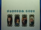 BLOSSOM TOES 1ST LP Marmalade Orig LP RARE *MONO* PSYCH