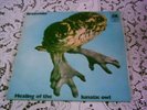 VERY RARE - Healing of the lunatic owl - Brainchild