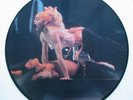 EROTIC MADONNA 12