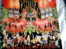 PANTERA--PROJECTS IN THE JUNGLE-33LP- N / M