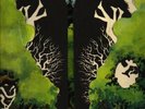 DR STRANGELY STRANGE RARE PROG PSYCH LP VERTIGO SWIRL