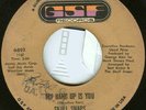 SKULL SNAPS Northern Soul 45 GSF Records