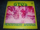 GTO'S Permanent Damage FRANK ZAPPA w/book MINT Psych LP