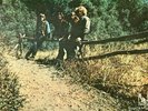 Creedence GREEN RIVER 1969 red vinyl Japan LP gatefold