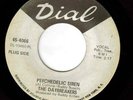 Rare Iowa Garage- The Daybreakers - 