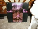 Very Rare Doo Wop LP - Del Satins - Out To Lunch