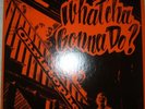 CHRISTOPHER what'cha gonna do LP psych rock ORIGINAL