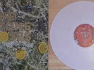THE STONE ROSES ***SIGNED*** DEBUT WHITE 12