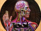 Tool Lateralus - RARE Promo Alex Grey Pic Disc  Ltd 500