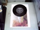 Sordide Sentimental DURUTTI COLUMN 7