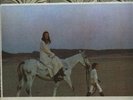 NICO- DESERTSHORE RARE PROMO LP post VELVET UNDERGROUND