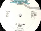WISH-YOUR LOVE-BLUE RECORDS RARE MODERN SOUL/BOOGIE