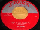 THE ROBINS Rare Doo Wop 45 Spark Label NM- Beauty