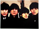 The Beatles for Sale POP ART ORIGINAL CANVAS UFA/1364