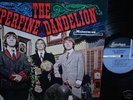 Us folk rock psych LP  SUPERFINE DANDELION original 