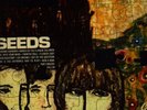 THE SEEDS- FUTURE RARE 1967 WLP MONO PSYCH LP w/INSERTS