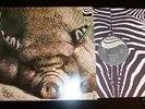 LP KIN PING MEH No. 2 GERMAN 1st PRESS ZEBRA OIS