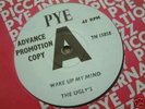 THE UGLY'S wake up my mind 1965 PYE DEMO FREAKBEAT MINT