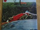 Spring 1971 UK PROG s/t NEON lp *GREAT COPY*