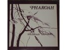 OG spiritual jazz   Pharaoh Sanders   India Navigation