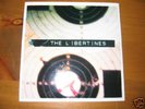 THE LIBERTINES What a waster 7