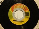 LIGHT OF SABA    LAMBSBREAD COLLIE ORIGINAL PRESS 1978