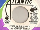 RARE NORTHERN SOUL / MODERN SOUL - THE JOHNSON FAMILY 
