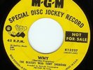 BEATLES-WHY-45-YELLOW LABEL-PROMOTION COPY-VERY RARE