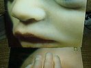 RAMMSTEIN : mutter LP - fold out + booklet - 2001 Motor
