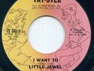 NORTHERN  SOUL 45/   LITTLE  JEWEL  *TAY-STER #6011*